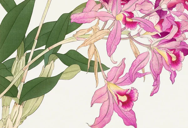 Sztuka Azjatycka Japoński Kwiat Woodblock Sztuki — Zdjęcie stockowe