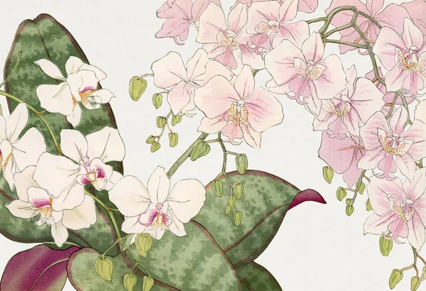 Sztuka Azjatycka Japoński Kwiat Woodblock Sztuki — Zdjęcie stockowe