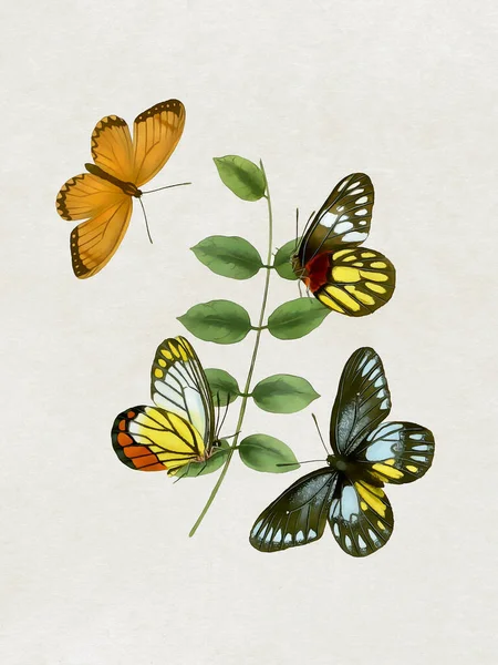 Fjärilsmålning Digital Fjäril Målning Beige Akvarell Bakgrund — Stockfoto