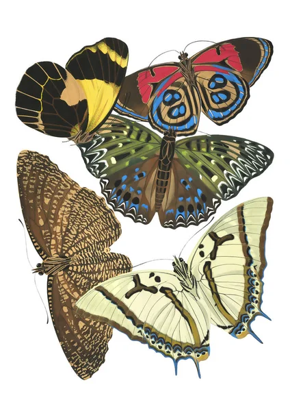 Belle Illustration Papillon Collage Coloré Papillons Découpés Sur Fond Blanc — Photo