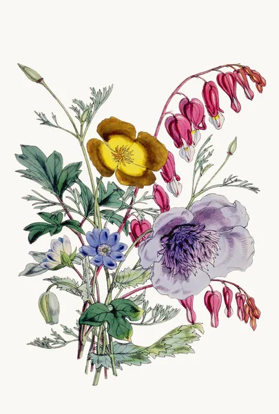 植物の花のイラスト 多様な花の種を展示し 生物多様性と生態系の調和を祝う絶妙な植物の花束 — ストック写真