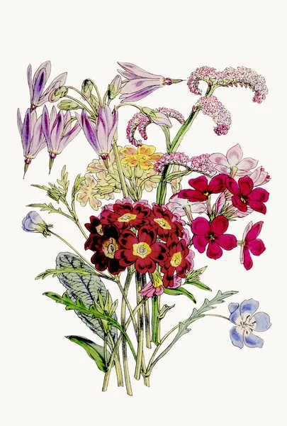 植物の花のイラスト 多様な花の種を展示し 生物多様性と生態系の調和を祝う絶妙な植物の花束 — ストック写真