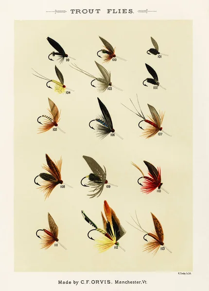 Sinek Avlama Kancalarının Klasik Illüstrasyonu Sinek Avcılığında Yapay Sinek Desenleri — Stok fotoğraf