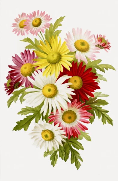 フルブルームのヴィンテージスタイルの植物花アートワーク — ストック写真