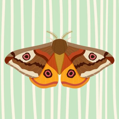 Canlı desenler ve parlak renklerle dolu Memphis 'ten esinlenilmiş bir arka planda renkli Kelebek. Geçmişe dönük modern bir dönüm noktası! Dijital Sanat