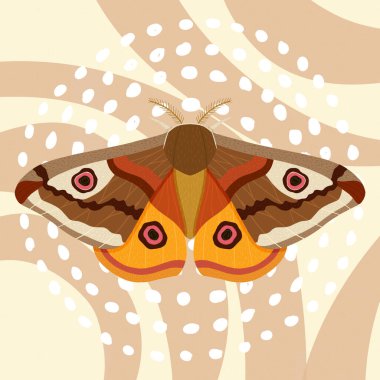 Canlı desenler ve parlak renklerle dolu Memphis 'ten esinlenilmiş bir arka planda renkli Kelebek. Geçmişe dönük modern bir dönüm noktası! Dijital Sanat