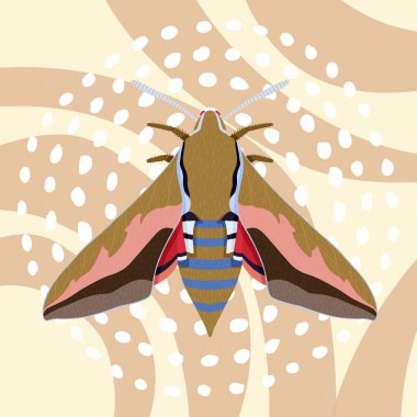 Canlı desenler ve parlak renklerle dolu Memphis 'ten esinlenilmiş bir arka planda renkli Kelebek. Geçmişe dönük modern bir dönüm noktası! Dijital Sanat