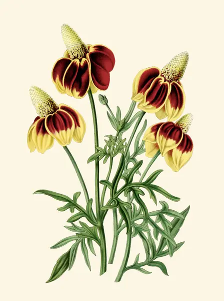 Colorful Flower Illustration: A digital vintage-style flower on a plain beige background.