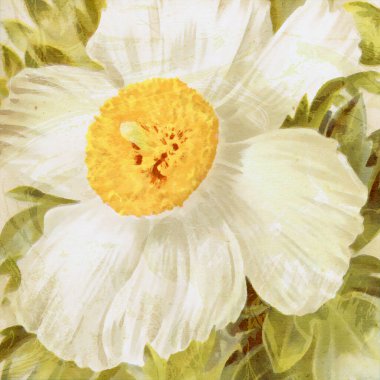 Kare çiçek tasarımı, dijital olarak yağla boyanmış, canlı bir palet ve dokulu bir zemin. Projelerinize yaratıcı bir dokunuş eklemek için harika..