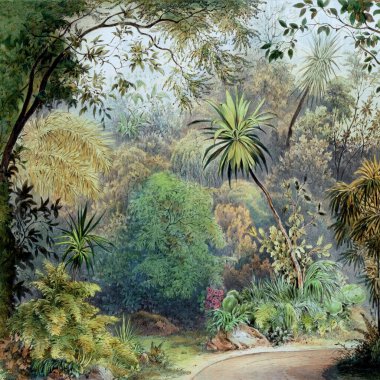 Renkli Tropikal Orman. Dijital Sanat. Antika, canlı renkler ve egzotik titreşimler bu sanat eserini herhangi bir oda için eşsiz kılıyor..