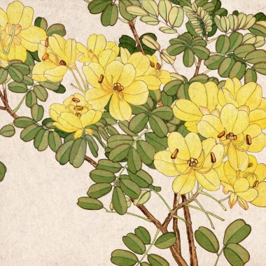 Kalıplı bej üzerine canlı bir renk paleti içeren dijital çiçek tasarımı. Canlı renkleri olan köylü cazibesi. Kare biçim için ideal.