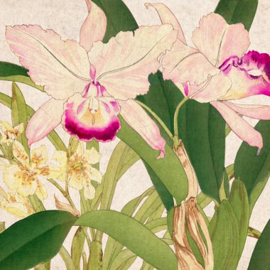 Kalıplı bej üzerine canlı bir renk paleti içeren dijital çiçek tasarımı. Canlı renkleri olan köylü cazibesi. Kare biçim için ideal.