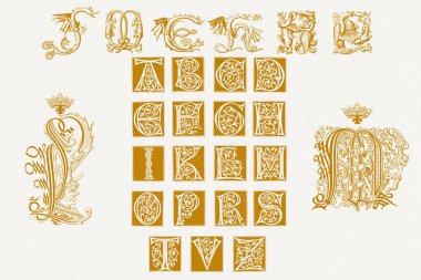 Ortaçağ alfabesinin baş harfleri. Ortaçağ alfabesindeki baş harfleri ve dekoratif unsurları gösteren güzel bir illüstrasyon..