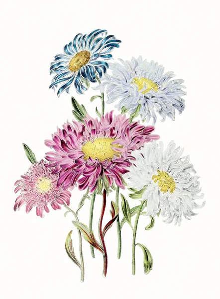 Colorful Flower Illustration: A digital vintage-style bouquet of flowers on a textured white background