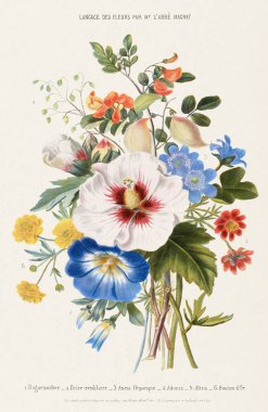 Çiçek buketi. Klasik Botanik Sanatı. Yaklaşık 1850.