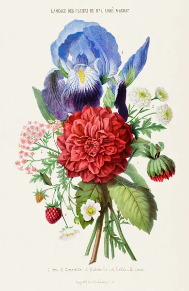 Букет Квітів Вінтажне Ботанічне Мистецтво Чірка 1850 — стокове фото