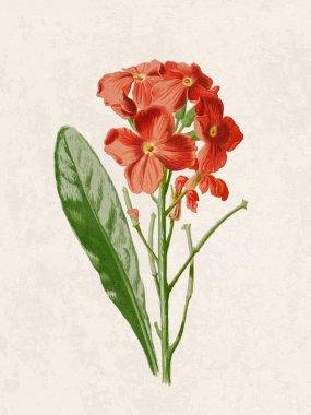 Çiçeklerin güzel çizimi. Grunge bej arka planda klasik esinlenilmiş dijital suluboya.