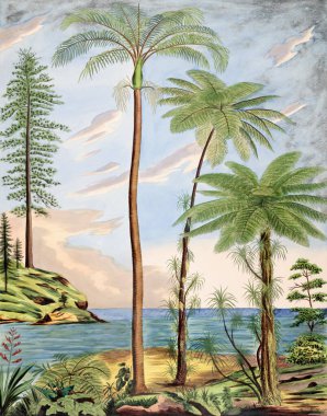 Güzel Palmiye Manzarası: Botanik palmiye ağaçları doğal ortamlarında resmedilmiştir.