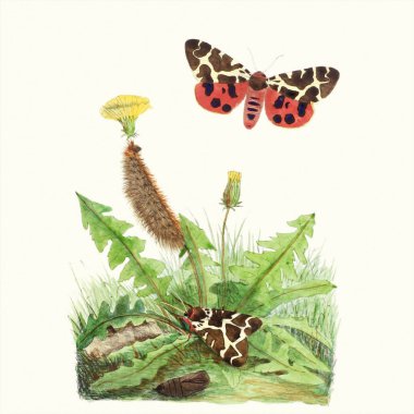 Lovely illustration of butterflies in an enchanting botanical scene. Digital watercolor on a lightly textured pale beige background. clipart