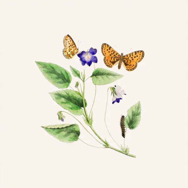 stock image Lovely illustration of butterflies in an enchanting botanical scene. Digital watercolor on a lightly textured pale beige background.