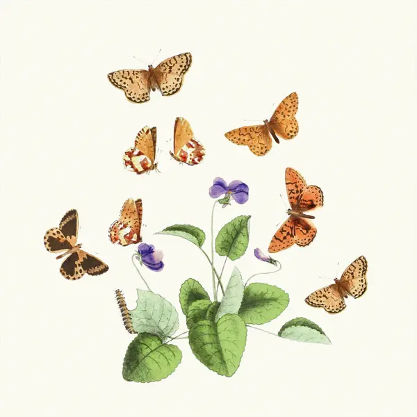 stock image Lovely illustration of butterflies in an enchanting botanical scene. Digital watercolor on a lightly textured pale beige background.