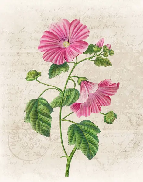 stock image Floral illustration with digital watercolor on grunge beige, evoking antique handwritten paper.