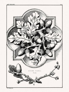 1880 'de Boston' da yayınlanan bir kitaptan klasik yaprak süslemesi. Detaylı yapraklar, çiçekler ve meyveler içeren mimari botanik tasarımı.