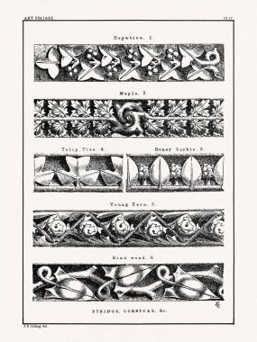 1880 'de Boston' da yayınlanan bir kitaptan klasik yaprak süslemesi. Detaylı yapraklar, çiçekler ve meyveler içeren mimari botanik tasarımı.