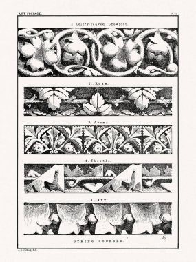 1880 'de Boston' da yayınlanan bir kitaptan klasik yaprak süslemesi. Detaylı yapraklar, çiçekler ve meyveler içeren mimari botanik tasarımı.