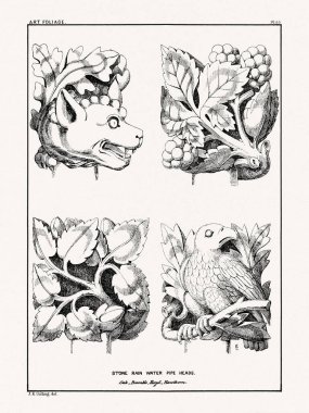 1880 'de Boston' da yayınlanan bir kitaptan klasik yaprak süslemesi. Detaylı yapraklar, çiçekler ve meyveler içeren mimari botanik tasarımı.
