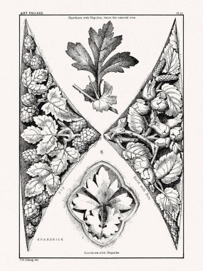 1880 'de Boston' da yayınlanan bir kitaptan klasik yaprak süslemesi. Detaylı yapraklar, çiçekler ve meyveler içeren mimari botanik tasarımı.