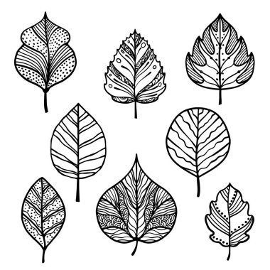 El çizimi yaprak vektör seti. Farklı şekil ve desenlere sahip dekoratif siyah çizgiler. Botanik, doğa temalı tasarım
