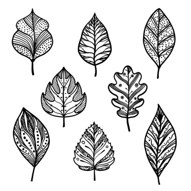 El çizimi yaprak vektör seti. Farklı şekil ve desenlere sahip dekoratif siyah çizgiler. Botanik, doğa temalı tasarım