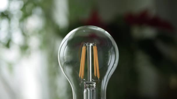 一个人在Socket上拧一个带灯的灯泡 然后打开房间里的灯 利用先导灯泡节约能源概念 — 图库视频影像