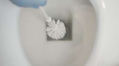 A Person Cleans the Toilet Bowl with a Brush and Flushes the Toilet. Household Chores, Cleaning the Toilet Bowl at Home.