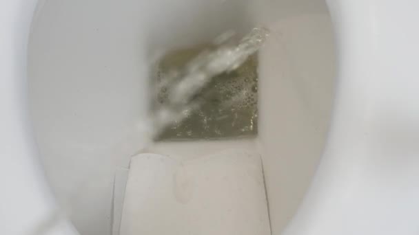 Shooting Person Urinating Toilet Bowl Man Pissing Public Toilet — Video