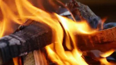 Beautiful Wooden Fire with Lighting Flames, Perfect for a Barbecue. Making a Fire in a Camping Adventure. Flames Burning.