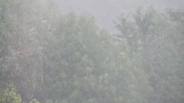 Rainstorm Extreme Weather Torrential Rain Powerful Storms Big Rainfall Nature — Vídeo de Stock