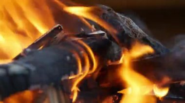 Beautiful Wooden Fire with Lighting Flames, Perfect for a Barbecue. Making a Fire in a Camping Adventure. Flames Burning.