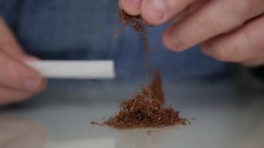 Blurred Shooting with a Man Rolling a Handmade Cigarette from Dry Tobacco. Elderly Person Making a Cigarette.
