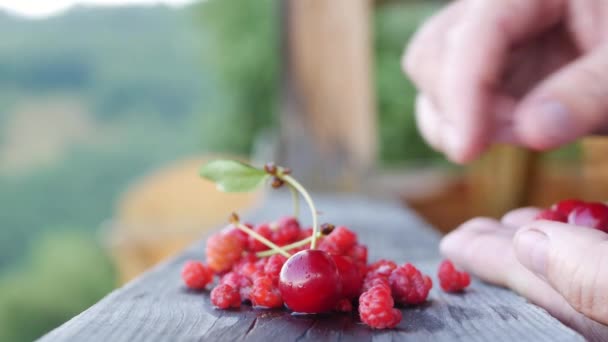 Strawberries Raspberries Cranberries Fresh Fruits Healthy Full Vitamins Organic Snack — Vídeo de Stock