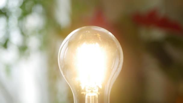 One Person Unscrews Led Light Bulb Socket Shuts Light Hand — Vídeo de Stock