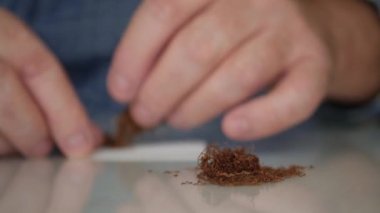 Blurred Shooting with a Man Rolling a Handmade Cigarette from Dry Tobacco. Elderly Person Making a Cigarette.