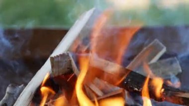 Beautiful Wooden Fire with Lighting Flames, Perfect for a Barbecue. Making a Fire in a Camping Adventure. Flames Burning.