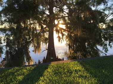 Arka planda gün batımı ve göl manzarası