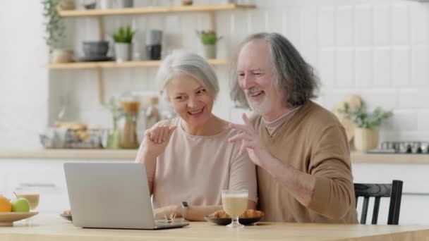 Mosolygó Idős Idős Nagyszülők Akik Videokonferenciát Tartanak Laptopon Beszélgetnek Rokonokkal — Stock videók