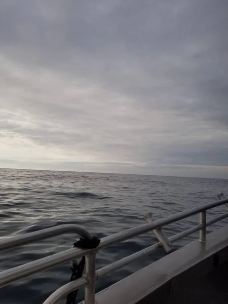 Горизонт Море Утром Фотография Сделана Летом Аляске Перила Лодки Переднем — стоковое фото