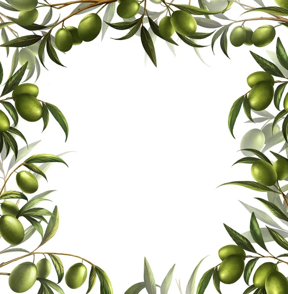 Olive Sono Modello Layout Design Sfondo Bianco Pittura Digitale Illustrazione — Foto Stock