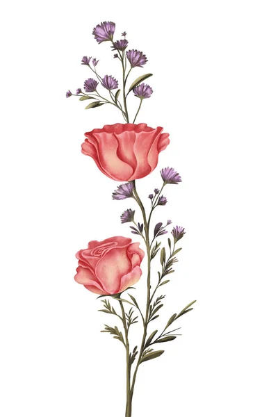 Kytice Růžových Růží Ozdobná Pro Zdobení Šablony Nebo Rozvržení Pracovní — Stock fotografie