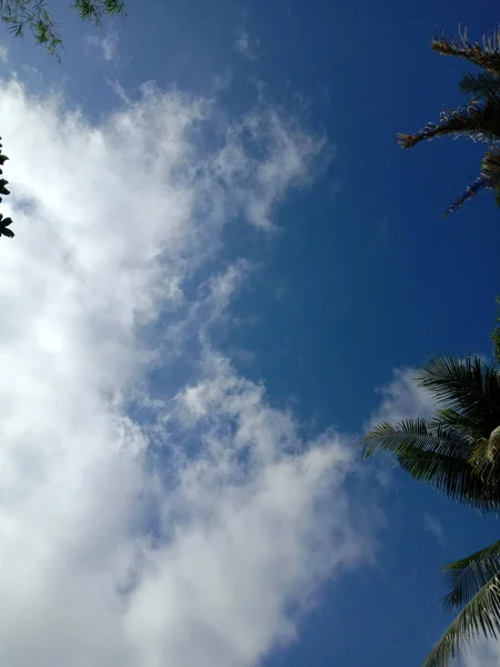 Prachtige Witte Lucht Met Bomen Wolken — Stockfoto